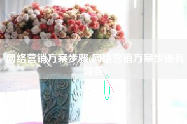 网络营销方案步骤(网络营销方案步骤有哪些)