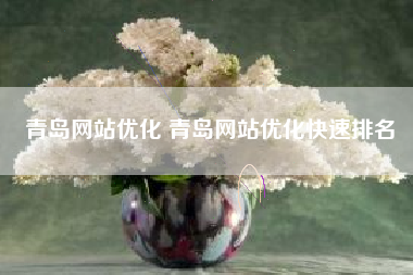 青岛网站优化 青岛网站优化快速排名