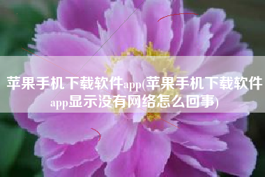 苹果手机下载软件app(苹果手机下载软件app显示没有网络怎么回事)