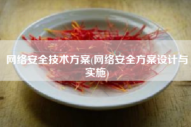 网络安全技术方案(网络安全方案设计与实施)