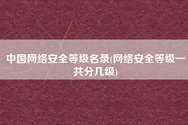 中国网络安全等级名录(网络安全等级一共分几级)