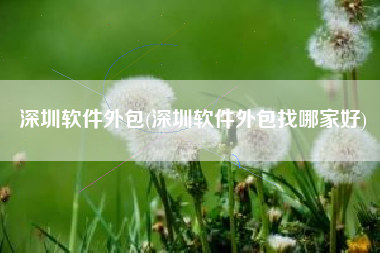 深圳软件外包(深圳软件外包找哪家好)