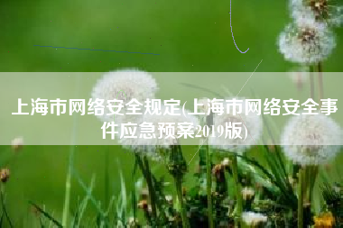 上海市网络安全规定(上海市网络安全事件应急预案2019版)