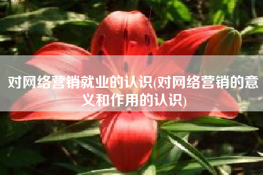 对网络营销就业的认识(对网络营销的意义和作用的认识)