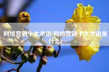 网络营销十大术语(网络营销十大术语是什么)
