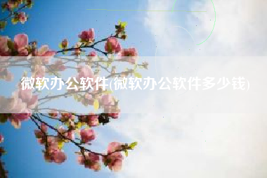 微软办公软件(微软办公软件多少钱)