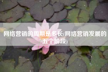 网络营销的周期是多长(网络营销发展的五个阶段)