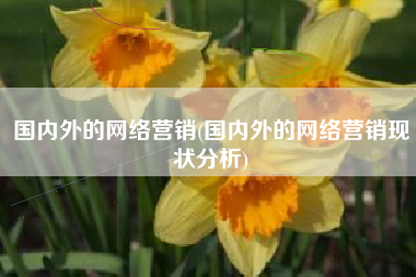 国内外的网络营销(国内外的网络营销现状分析)