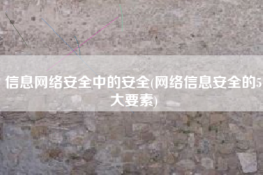 信息网络安全中的安全(网络信息安全的5大要素)
