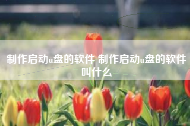制作启动u盘的软件 制作启动u盘的软件叫什么