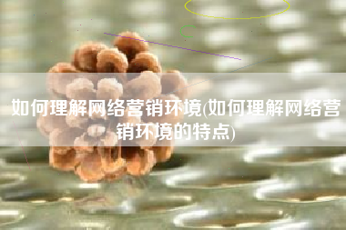 如何理解网络营销环境(如何理解网络营销环境的特点)