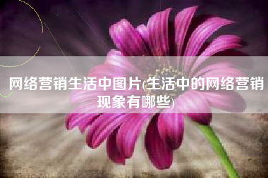 网络营销生活中图片(生活中的网络营销现象有哪些)