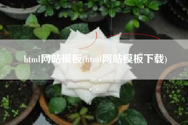 html网站模板(html网站模板下载)