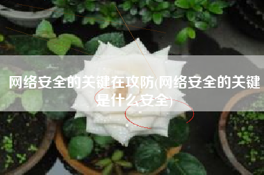 网络安全的关键在攻防(网络安全的关键是什么安全)