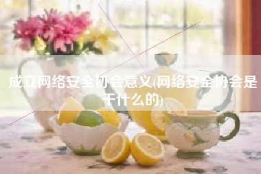 成立网络安全协会意义(网络安全协会是干什么的)