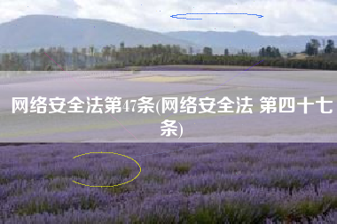 网络安全法第47条(网络安全法 第四十七条)