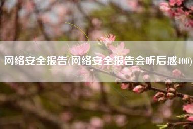 网络安全报告(网络安全报告会听后感400)