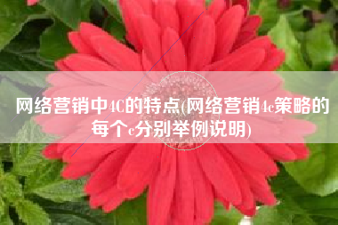 网络营销中4C的特点(网络营销4c策略的每个c分别举例说明)