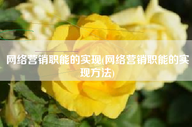 网络营销职能的实现(网络营销职能的实现方法)