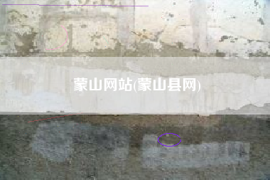蒙山网站(蒙山县网)