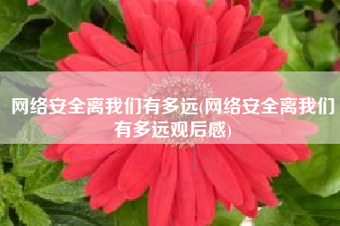网络安全离我们有多远(网络安全离我们有多远观后感)