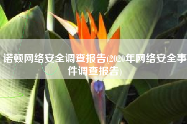 诺顿网络安全调查报告(2020年网络安全事件调查报告)