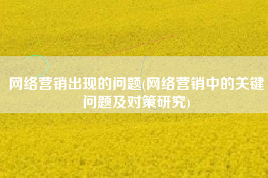 网络营销出现的问题(网络营销中的关键问题及对策研究)