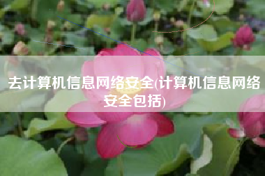 去计算机信息网络安全(计算机信息网络安全包括)
