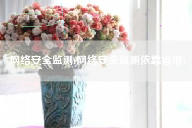 网络安全监测(网络安全监测依靠省市)