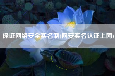保证网络安全实名制(网安实名认证上网)