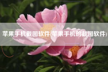 苹果手机截图软件(苹果手机的截图软件)