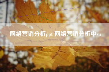 网络营销分析ppt 网络营销分析中su