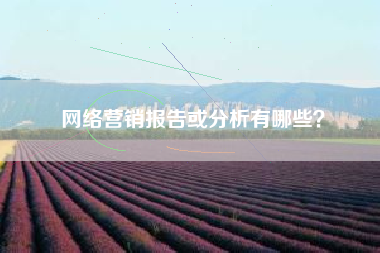 网络营销报告或分析有哪些？