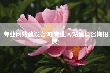 专业网站建设咨询(专业网站建设咨询招聘)