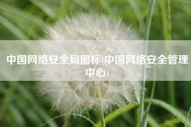 中国网络安全局图标(中国网络安全管理中心)