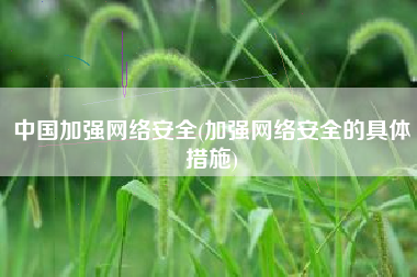 中国加强网络安全(加强网络安全的具体措施)