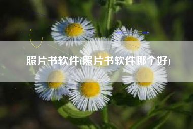照片书软件(照片书软件哪个好)