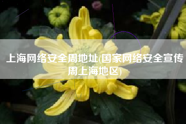 上海网络安全周地址(国家网络安全宣传周上海地区)