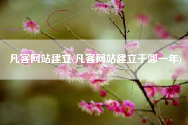 凡客网站建立(凡客网站建立于哪一年)