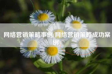 网络营销策略事例(网络营销策略成功案例)