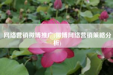 网络营销微博推广(微博网络营销策略分析)