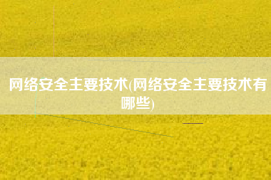 网络安全主要技术(网络安全主要技术有哪些)