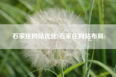 石家庄网站优化(石家庄网站布局)