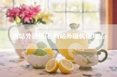 网站外链优化(网站外链优化方法)