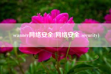 scanner网络安全(网络安全 security)