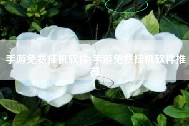 手游免费挂机软件(手游免费挂机软件推荐)