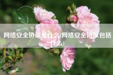网络安全协议是什么(网络安全协议包括什么)