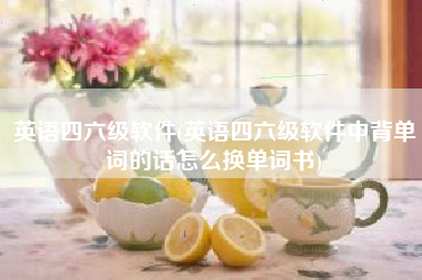 英语四六级软件(英语四六级软件中背单词的话怎么换单词书)