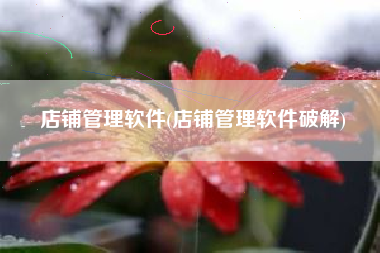 店铺管理软件(店铺管理软件破解)