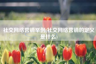 社交网络营销举例(社交网络营销的定义是什么)